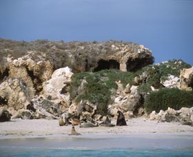 Jurien Bay Marine Park - Accommodation NT 0