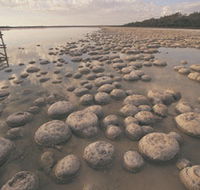 Lake Clifton Thrombolites - Accommodation NT