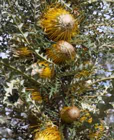 Hillside WA Accommodation NT