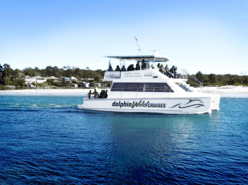 Dolphin Wild Cruises - Accommodation NT 1