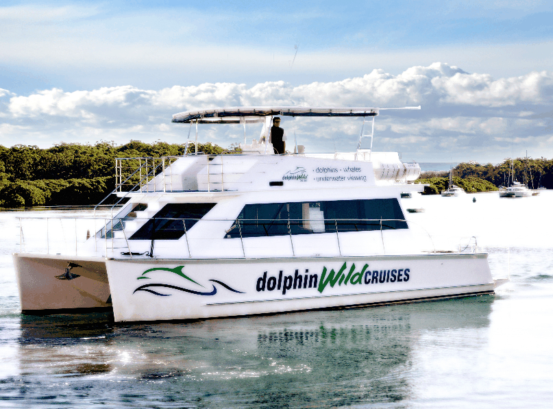 Dolphin Wild Cruises - Accommodation NT 2