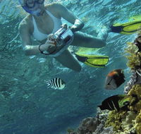 Calypso Reef Charters - Accommodation NT