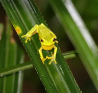 Daintree River Cruise Centre - Accommodation NT