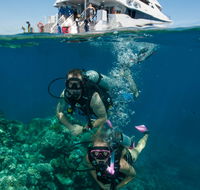 Down Under Cruise and Dive - Accommodation NT