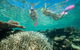 Down Under Cruise And Dive - thumb 4