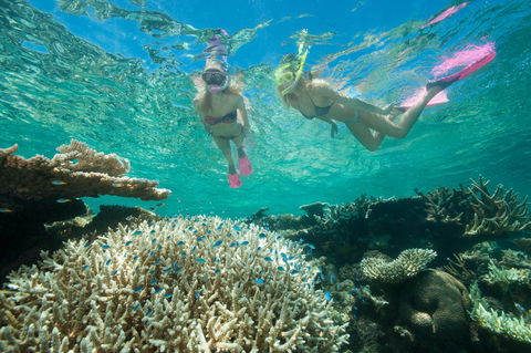 Down Under Cruise And Dive - Accommodation NT 4