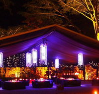 Flames Of The Forest - Accommodation NT