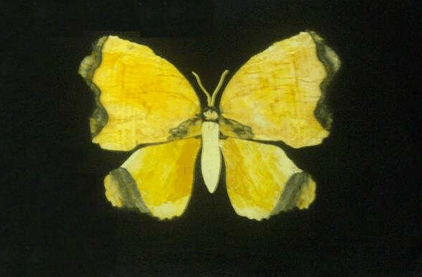 Ashworths - Accommodation NT