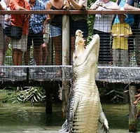 Hartley's Crocodile Adventures - Accommodation NT