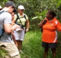 Ingan Tours - Spirit of the Rainforest Tour - Accommodation NT