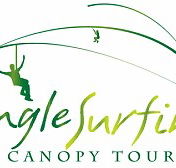 Jungle Surfing Canopy Tours and Jungle Adventures Nightwalks - Accommodation NT