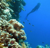Reef Magic Cruises - Accommodation NT
