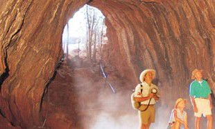 Undara Experience - Accommodation NT 3