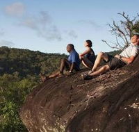 Cooktown Aboriginal Art Tours - Accommodation NT