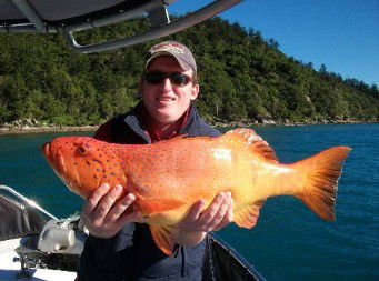 Gone Fishing By Coral Sea Fishing Charters Airlie Beach - Accommodation NT 0