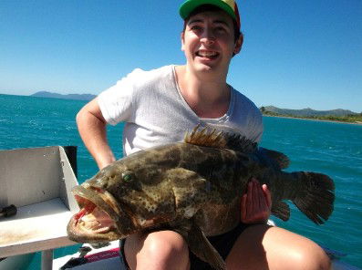 Gone Fishing By Coral Sea Fishing Charters Airlie Beach - Accommodation NT 4