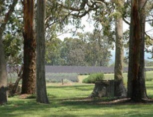 Undercliffe QLD Accommodation NT