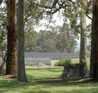 Aloomba Lavender - Accommodation NT