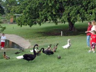 Anzac Park And Ululah Lagoon - NT Tourism 0