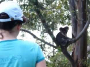 Araucaria Ecotours - Accommodation NT 1