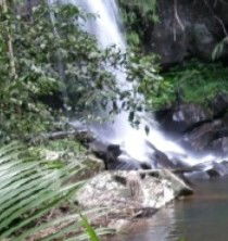 Araucaria Ecotours - Accommodation NT 4
