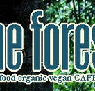 Forest Cafe  Bar