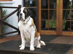 Mt Tamborine QLD Accommodation NT