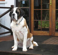 St Bernards Hotel - Accommodation NT