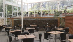 Tea Tree Gully Hotel - Accommodation NT 3