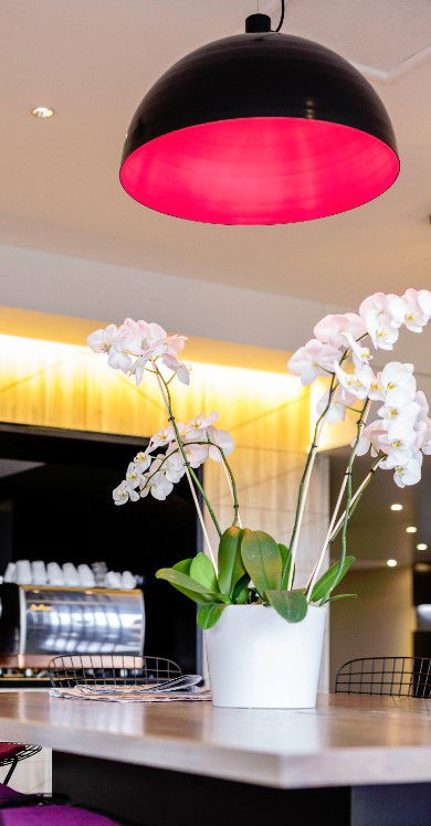 MRepublic Restaurant, Bar And Lounge - Accommodation NT 4