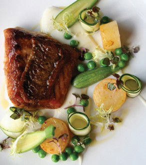 Mondo Organics Restaurant - NT Tourism 5