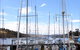Oyster Cove Inn - thumb 0