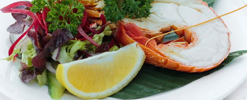Crustaceans On The Wharf - Accommodation NT 1