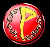 Players Showgirls - Accommodation NT