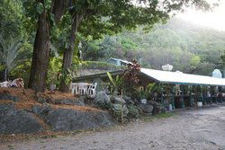 Ellis Beach Bar & Grill - Accommodation NT 0