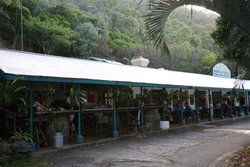 Ellis Beach Bar & Grill - Accommodation NT 1