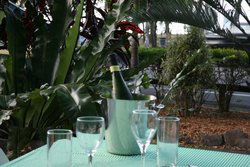 Ellis Beach Bar & Grill - Accommodation NT 3