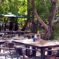 Lizard's Outdoor Bar And Grill - NT Tourism 3