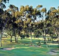 Tanunda Pines Golf Club - Accommodation NT