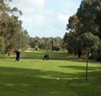 Mount Gambier Golf Club - Accommodation NT
