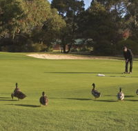 Royal Hobart Golf Club - Accommodation NT
