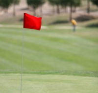 Gold Creek Country Club - Accommodation NT