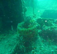 Wallaroo Scuba Club - Accommodation NT