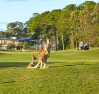 Sanctuary Cove Golf and Country Club - Accommodation NT
