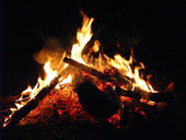 Corroboree Park Tavern - NT Tourism 3