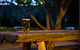 Mount Kembla Village Hotel - thumb 4