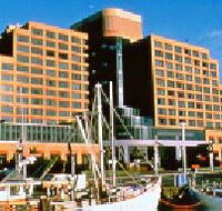 The Atrium Bar - NT Tourism
