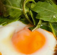 Rosebud Restaurant  Bar - Accommodation NT