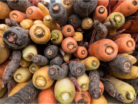 Alphington Farmers' Market - NT Tourism 2