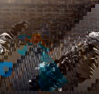 Baroque Horse Festival - Accommodation NT